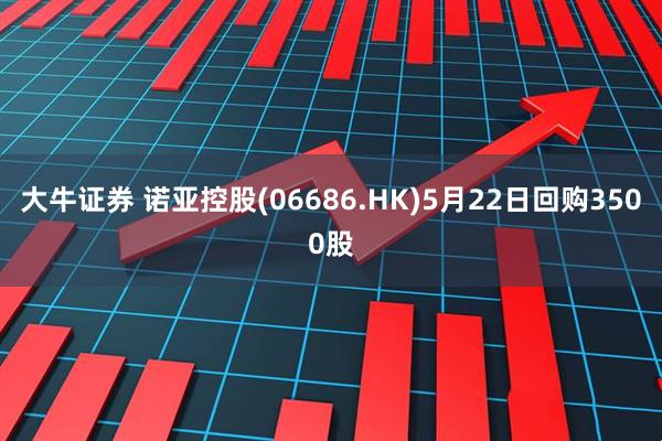 大牛证券 诺亚控股(06686.HK)5月22日回购3500股