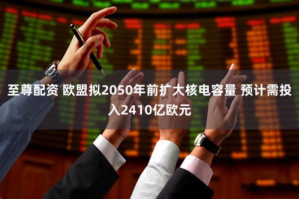 至尊配资 欧盟拟2050年前扩大核电容量 预计需投入2410亿欧元